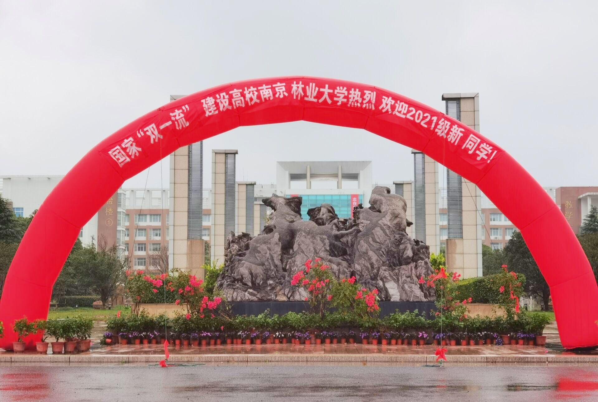 QQ图片20211011192640