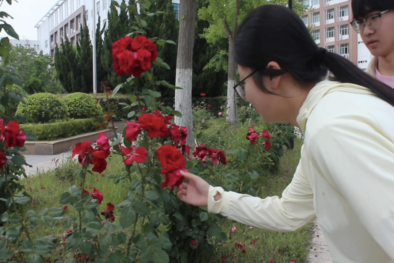 图片5_74444图片5