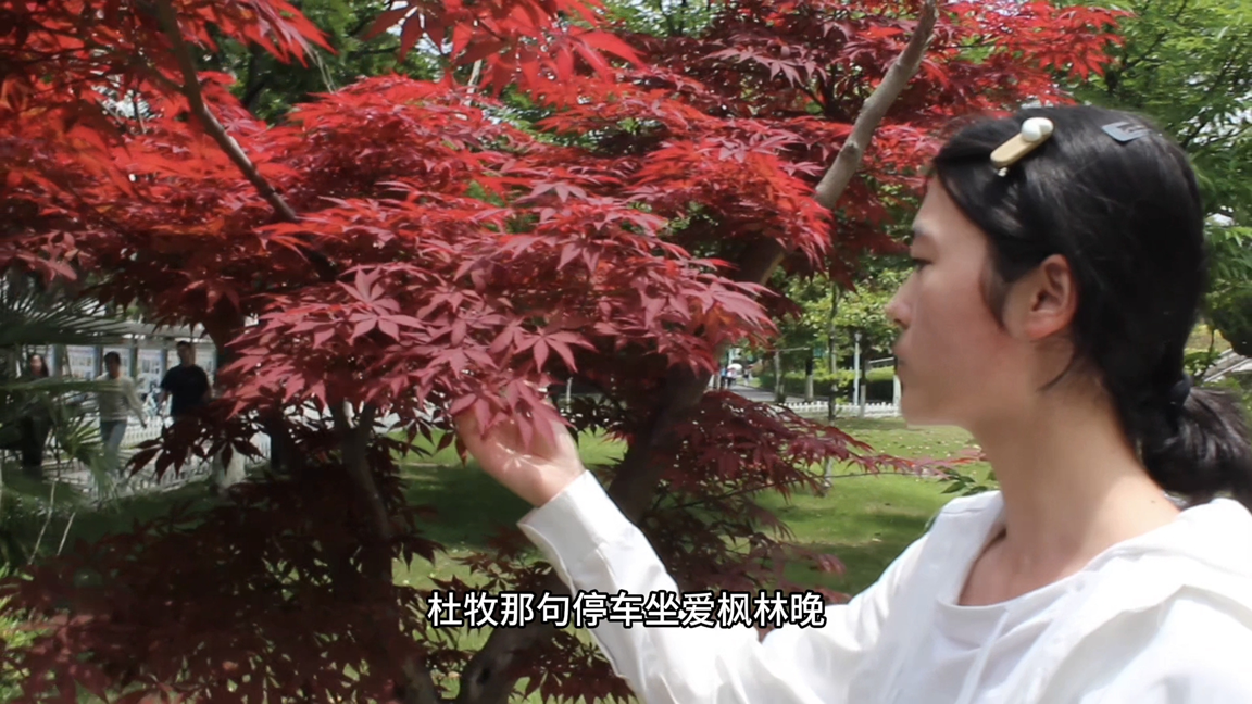 图片4_14506图片4