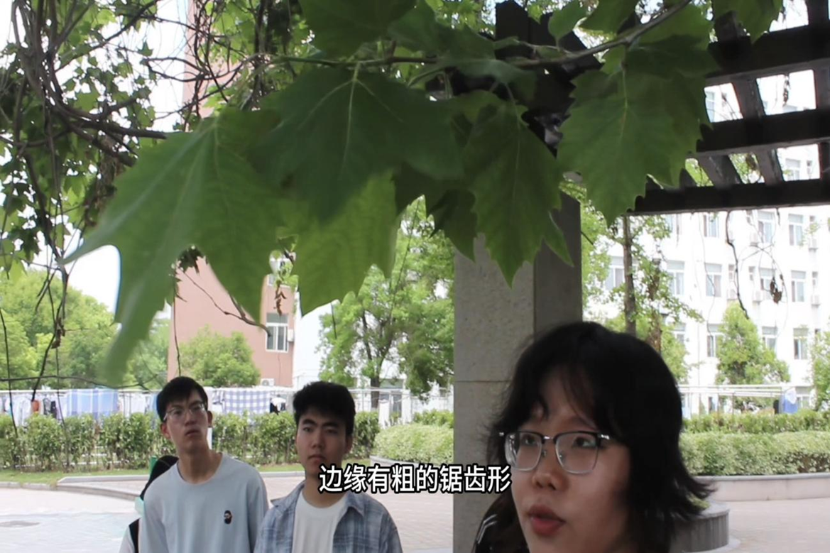 图片3_81597图片3