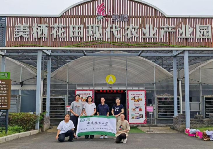 图片11_51603图片11