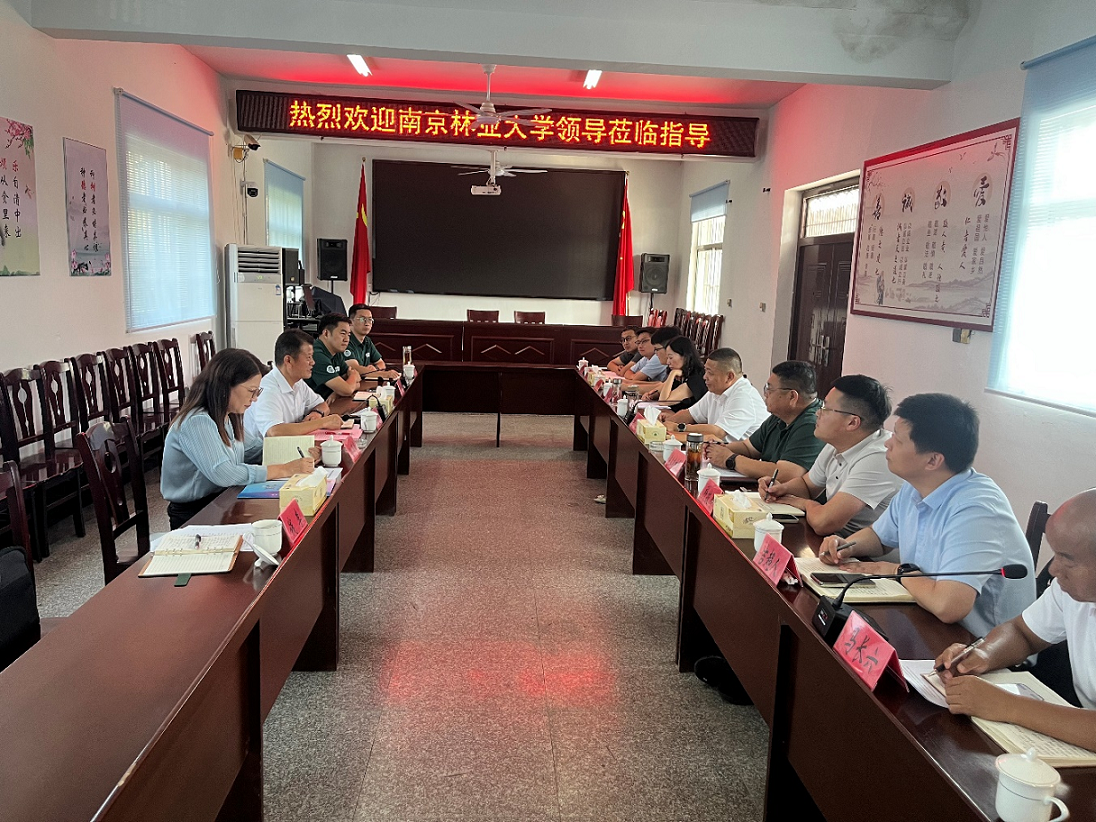图片11_95682图片11