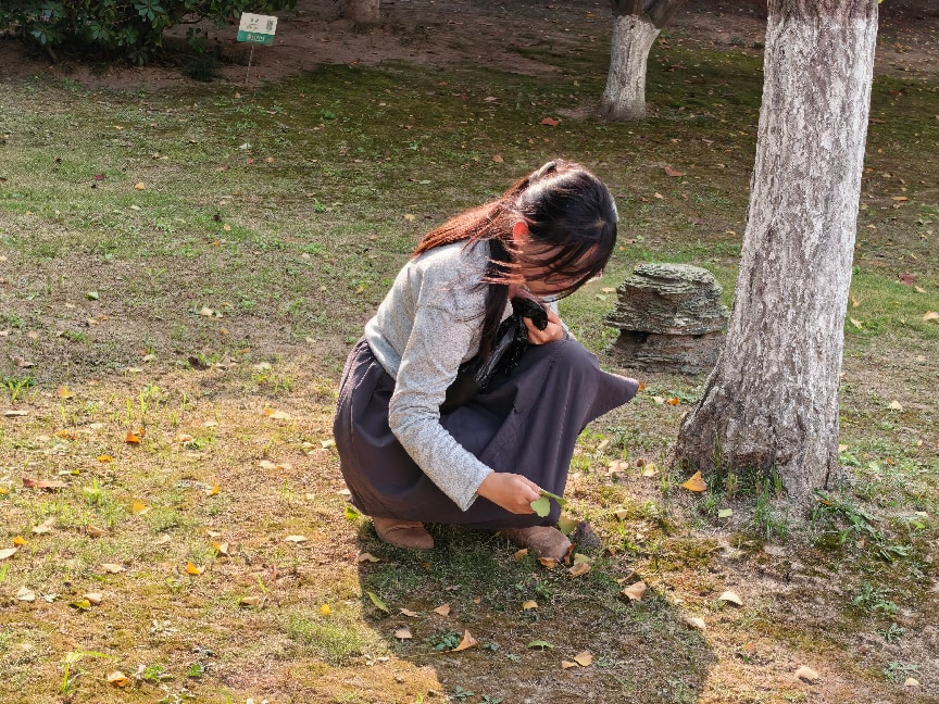 图片4_53656图片4
